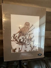 OWL WILDLIFE PRINT LUCIANO PETOSKEY, MI 16 x 20 SIGNED SEALED Ready To Frame