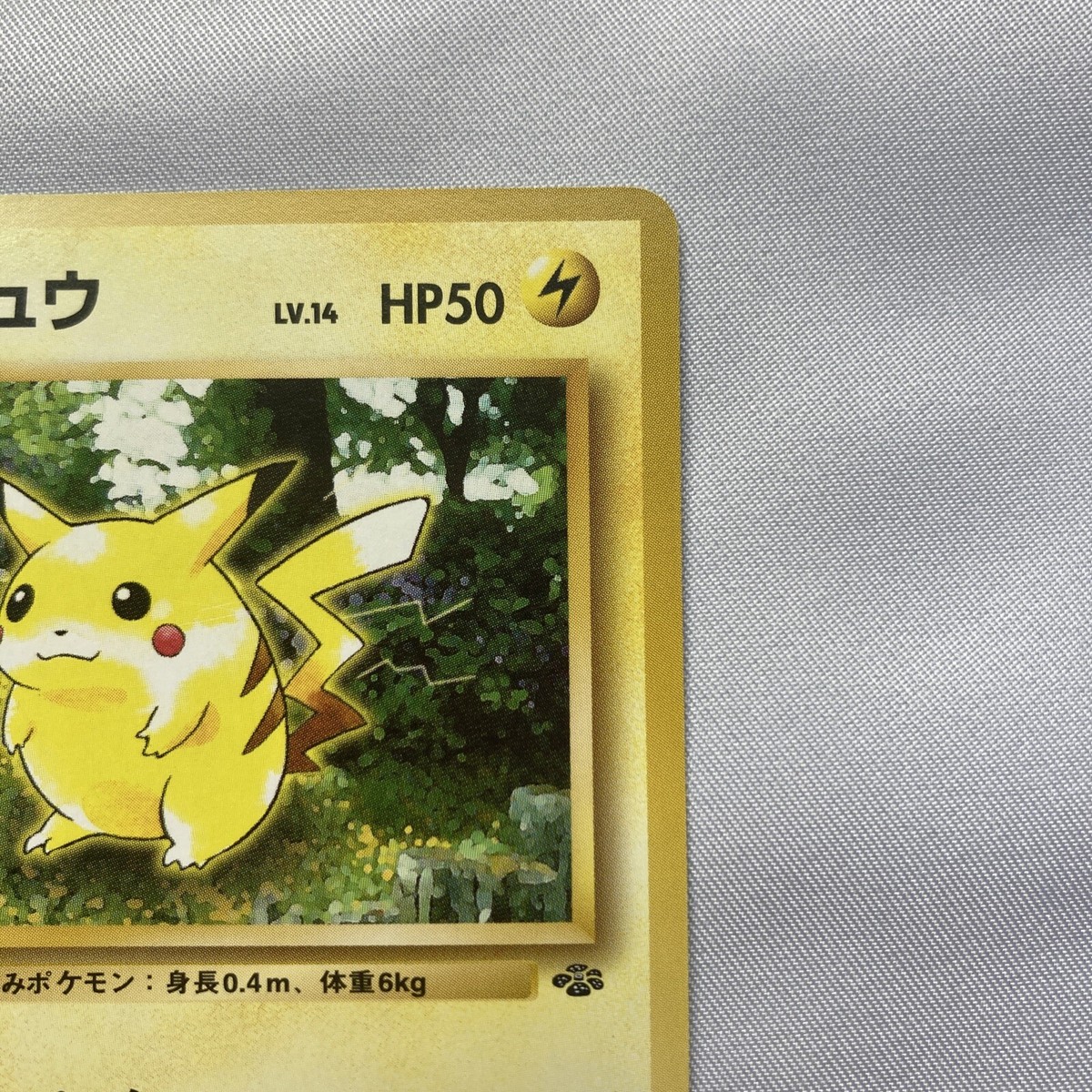 Pokémon TCG Pikachu No 25 Raichu No 26 Regular 1st Edition