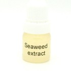 Seaweed Extract - anti-ageing, skin firming, rehydrating serum DIY cosmetics