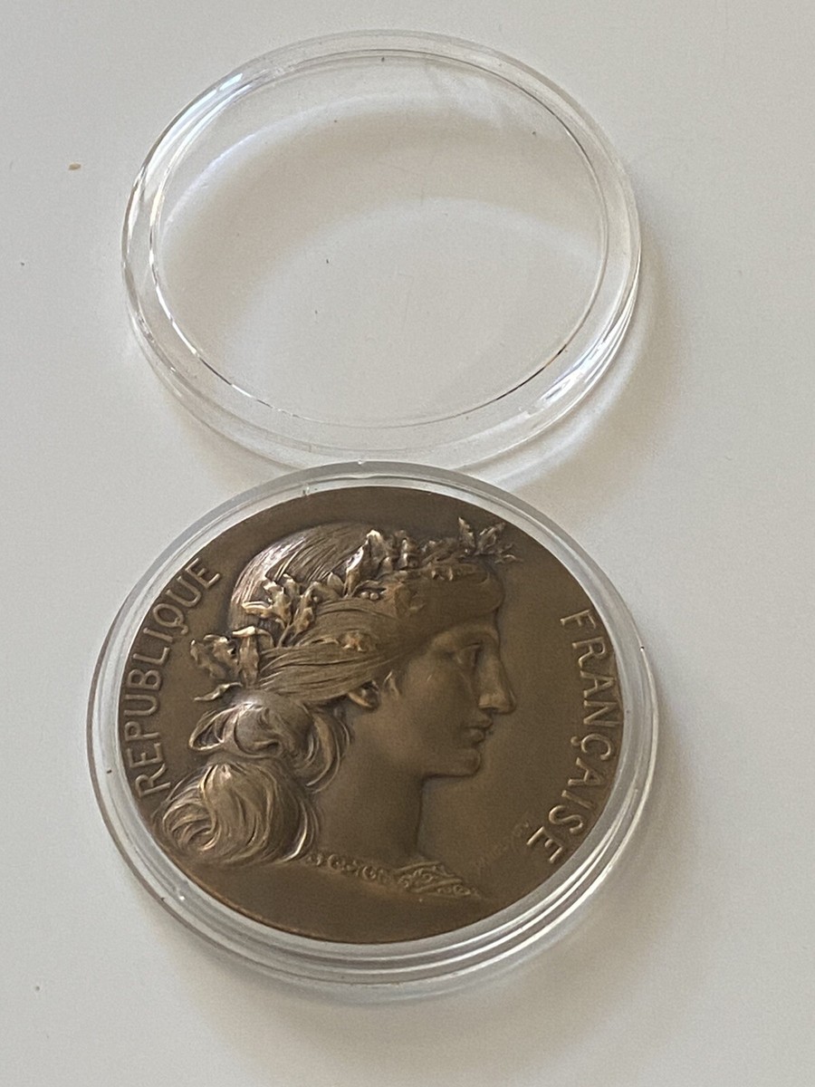 Médaille bronze signée Daniel Dupuis République Française ancien - Collection