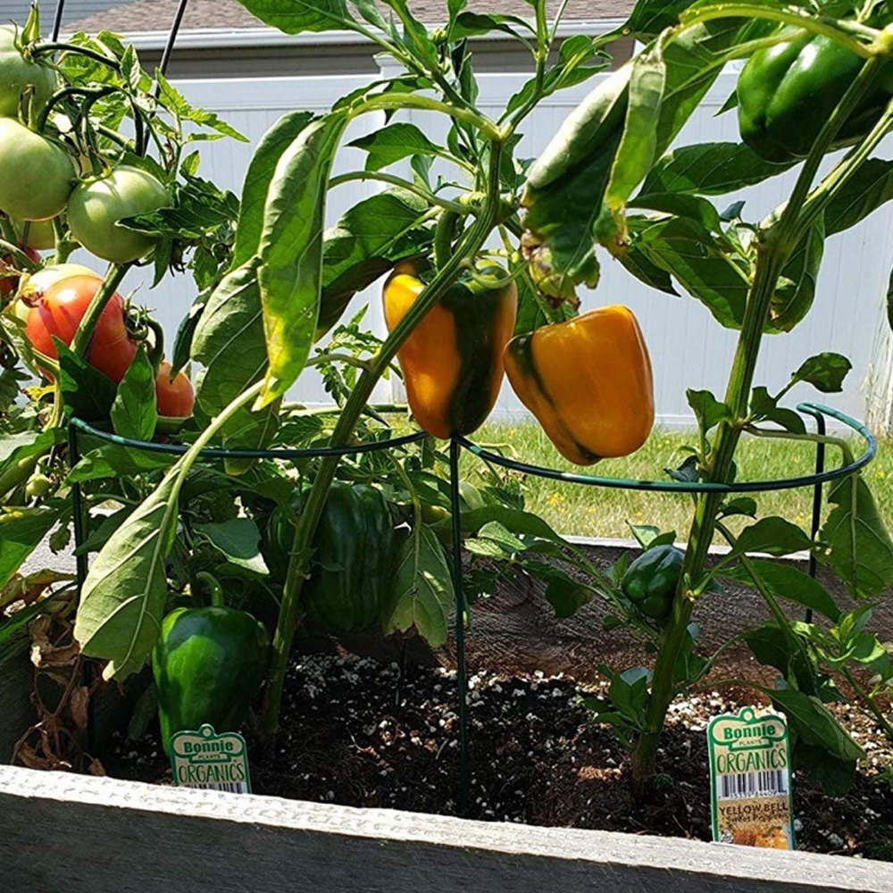 6-Piece Weather-Resistant Graceful Plant Support Stands