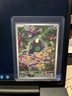 Shroodle 149/132 Illustration Rare Mega Evolution Pokemon Holo Near Mint