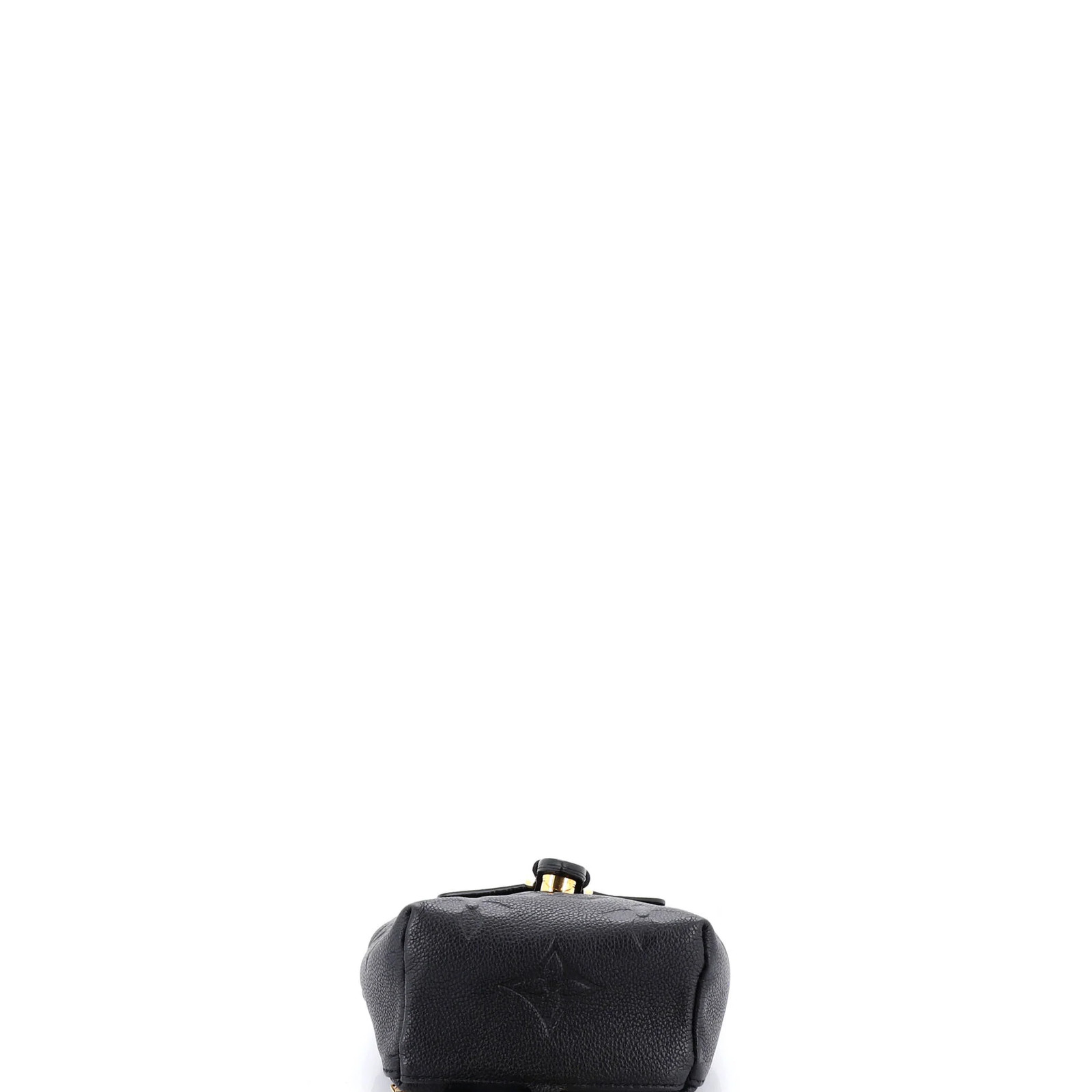 Louis Vuitton Tiny Backpack Monogram Empreinte Gi… - image 4