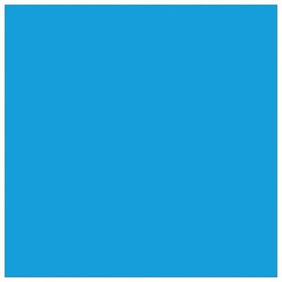 Lexmark Original Toner Cartridge (72K0X20)