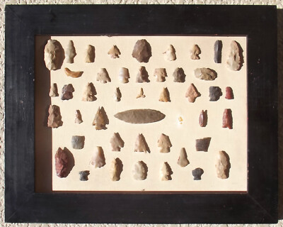 Western Projectile Point/Arrowhead Collection from Estate
