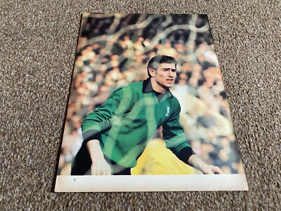 WFBK15 WORLD SPORTS BILD PIN UP 10X8 PETER BONETTI CHELSEA