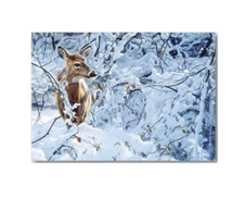 Doe in the Woods Boxed Christmas Cards (Pack of 10) Wildlife Deer Greeting