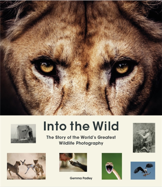Into the Wild by Gemma Padley (Hardback Book)