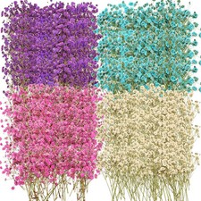 200 Pcs Dried Baby's Breath Flowers Preserved Multi Color