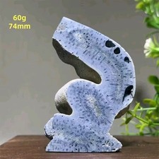 Rare Blue Agatized Coral Fossil - Beautiful Collectors Peice 
