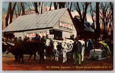 1970 Vintage St Albans Vermont Maple Syrup capital cows people Postcard linen