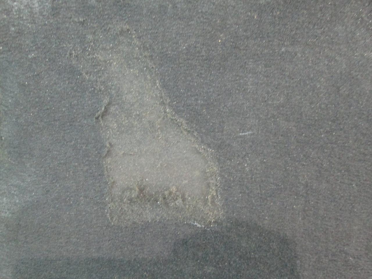 2001 Ferrari 360 Spider Left Driver EBX Carpet Cover 65799594