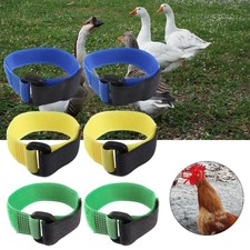 2Pcs Rooster Anti Crow Collar Neck Belt Cockerel Noise Free Chicken Neckband