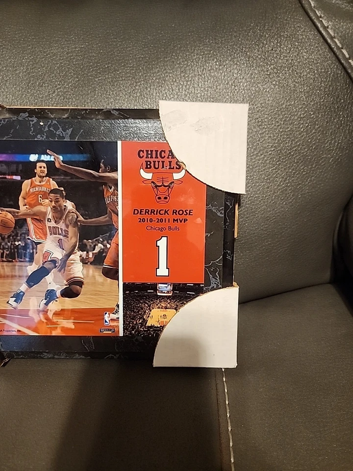 Derrick Rose Chicago Bulls placa montada recuerdos NBA 8x10 Foto 2 de 4