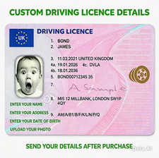 Custom Personalised UK Driving Licence Card with Photo & Details Plastic
