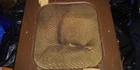 Picture 11 of 11