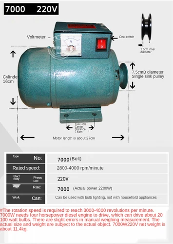 7000W Permanenten Magnet Generator 220V Dieselmotor Beleuchtung Dynamo - Foto 14 di 21