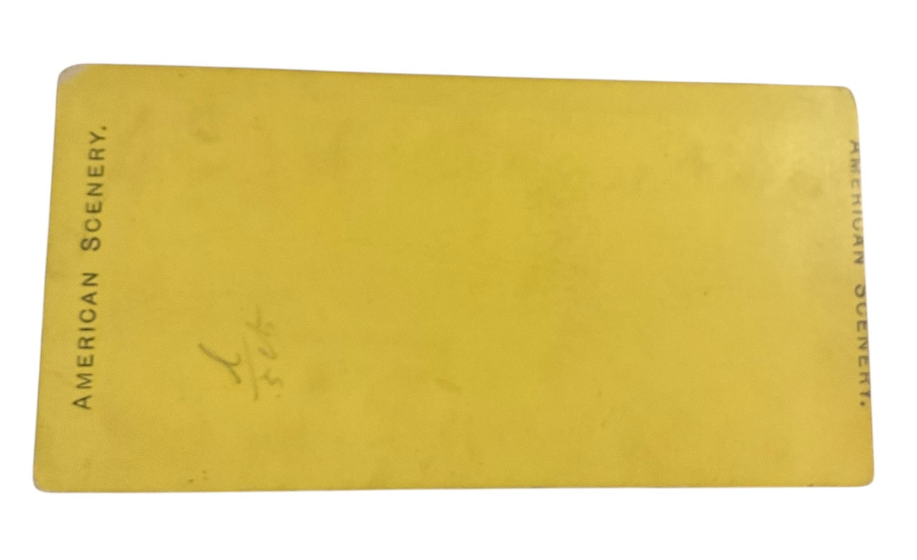 Fairmont Falls Philadelphia Pennsylvania Man Tree American Scenery c1870s SC5