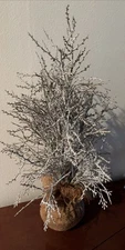 White Flocked Artificial Winter Accent Tree Burlap Base 18.5”x 5”