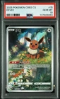 PSA 10 Pokemon TCG Chinese Horizon Gem Pack Vol2 Eevee CBB2C-01 15/15（17）