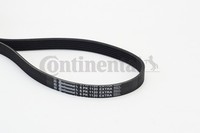 6PK1120 Extra Continental Ctam Keilrippenriemen FüR Audi