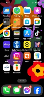 Apple iPhone 13 Pro Max - 512 GB - Gray (AT&T) with TicTok