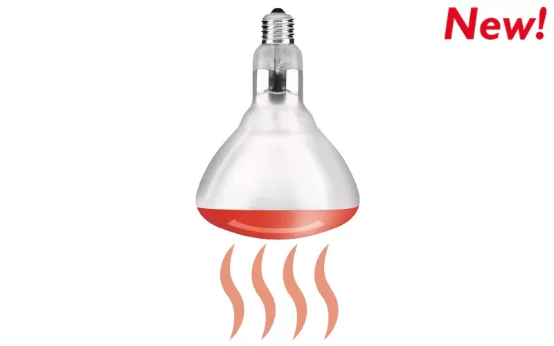 Lampada ad Infrarossi 250 W E27, Generazione di calore NOVALINE