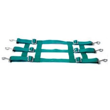 80AI Hilason Horse Stall Guard Adjustable Straps Hardware Included Green