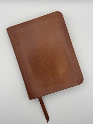 Daily Light for Every Day Anne Graham Lotz Brown Leathersoft Devotional Bagster