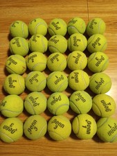 30 Used Tennis Balls Doggy Chews, etc. FREE SHIPPING