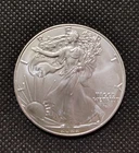 2022 American Silver Eagle 1oz. Coin BU Real Free Shipping Look!