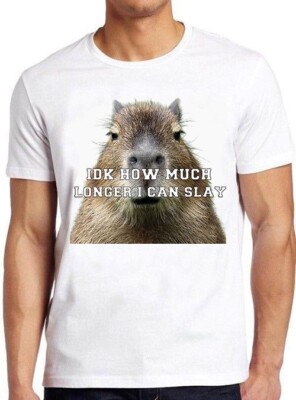 Idk How Much Longer I Can Slay Capybara sarkastisch dank lustiges Geschenk T-Shirt M945