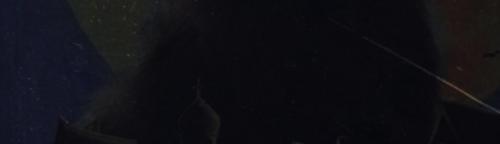 / Werewolves Big Box \limited Edition\ (english Edition) /