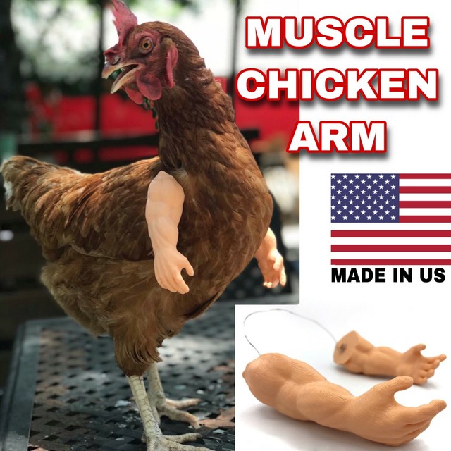 sleepytime chicken reddit sleepytime chicken reddit