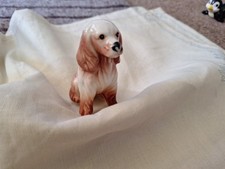 Shin China Spaniel Dog