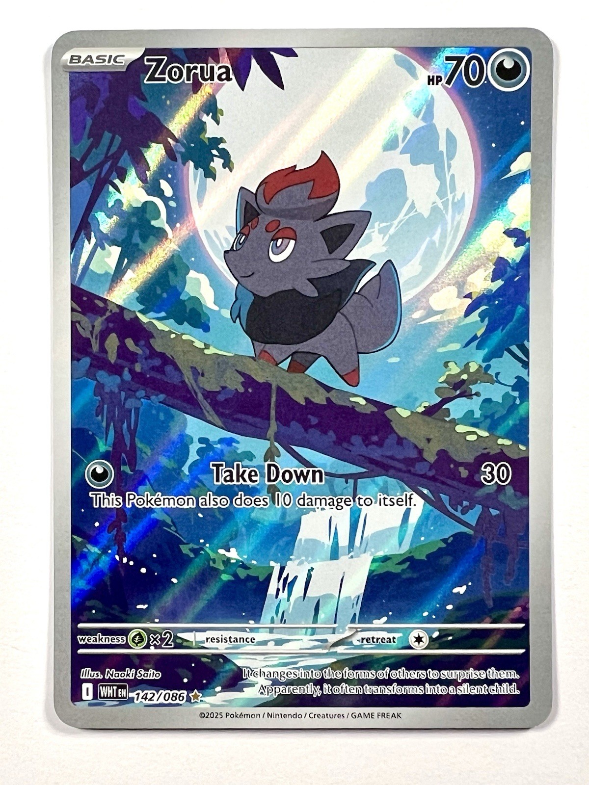 2025 Zorua 142/086 Illustration Rare IR Holo White Flare Pokemon TCG Card