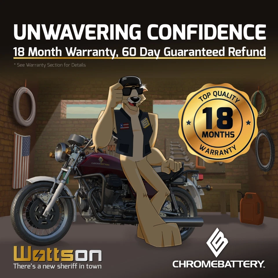 Pirate Battery YTX20HL-BS  Maintenance Free AGM Motorcycle Battery 18Mo Warranty - Image 4 of 4