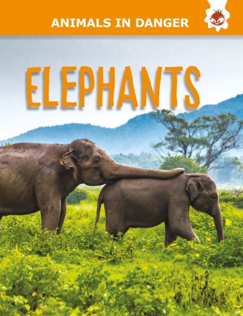 Elephants by Emily Kington PAPERBACK 9781914087837