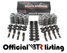Btr .660 Dual Valve Spring Kit Steel Retainer - 4.85.36.0ls1ls2ls3