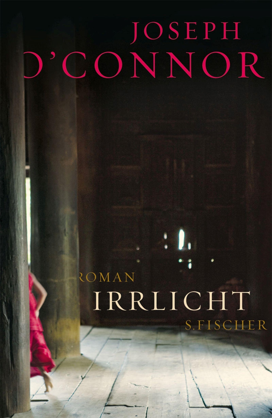 Thumbnail - Irrlicht | Buch | 9783100540188