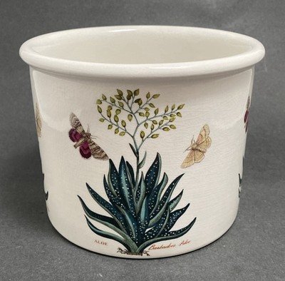 portmeirion botanic garden Aloe Barbadoes Crock Planter Large 7  Dia X 5 5/8  T