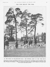 EWHURST PARK Basingstoke Meet of the Vine Hunt - Vintage Print1929