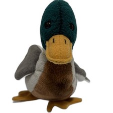 Ty Jake the Mallard Duck Plush Toy!