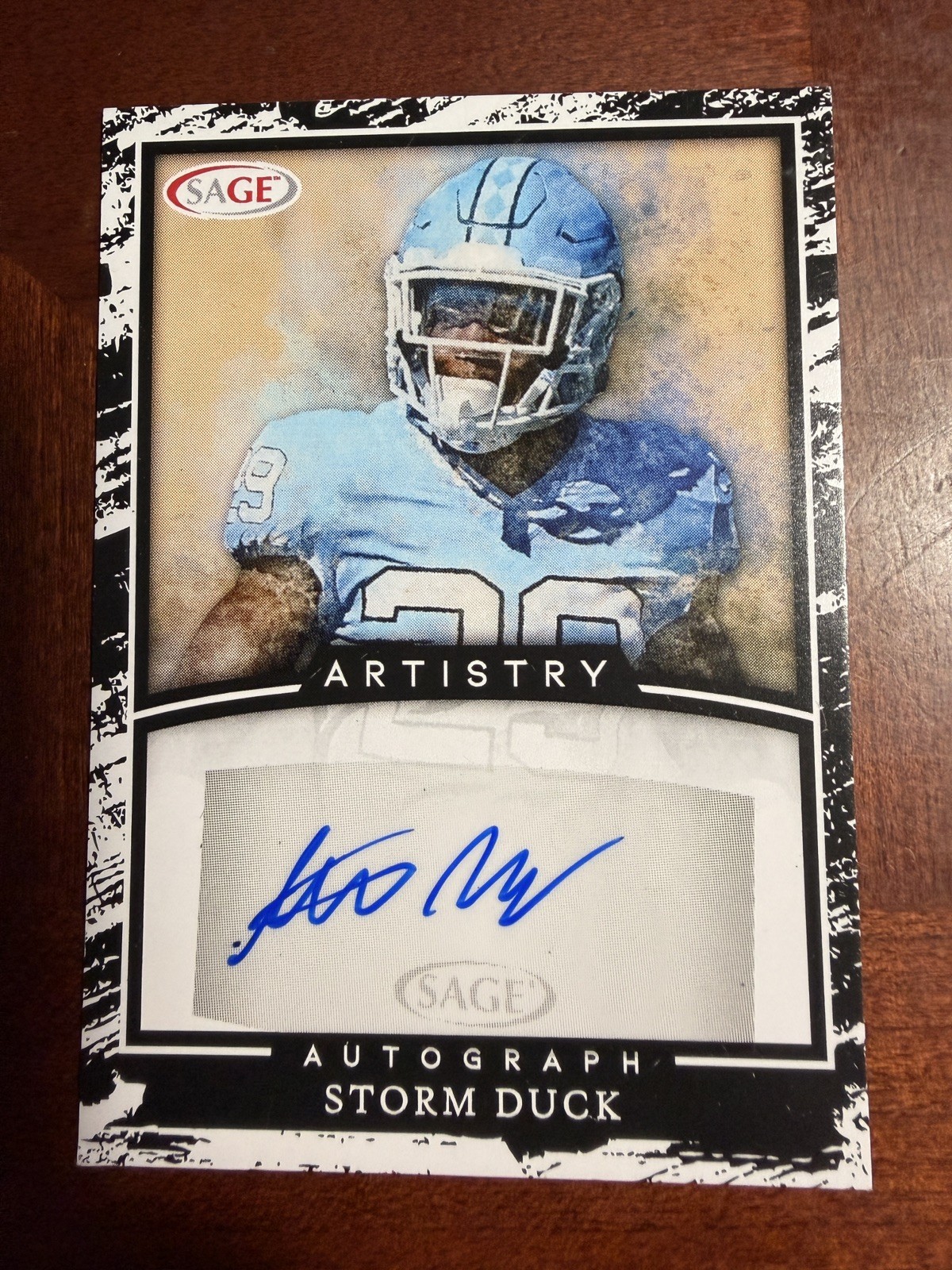 2022 SAGE Artistry STORM DUCK Auto #A-SD