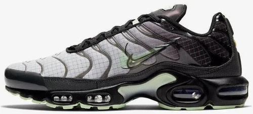 Nike Air Max Plus Future Swoosh