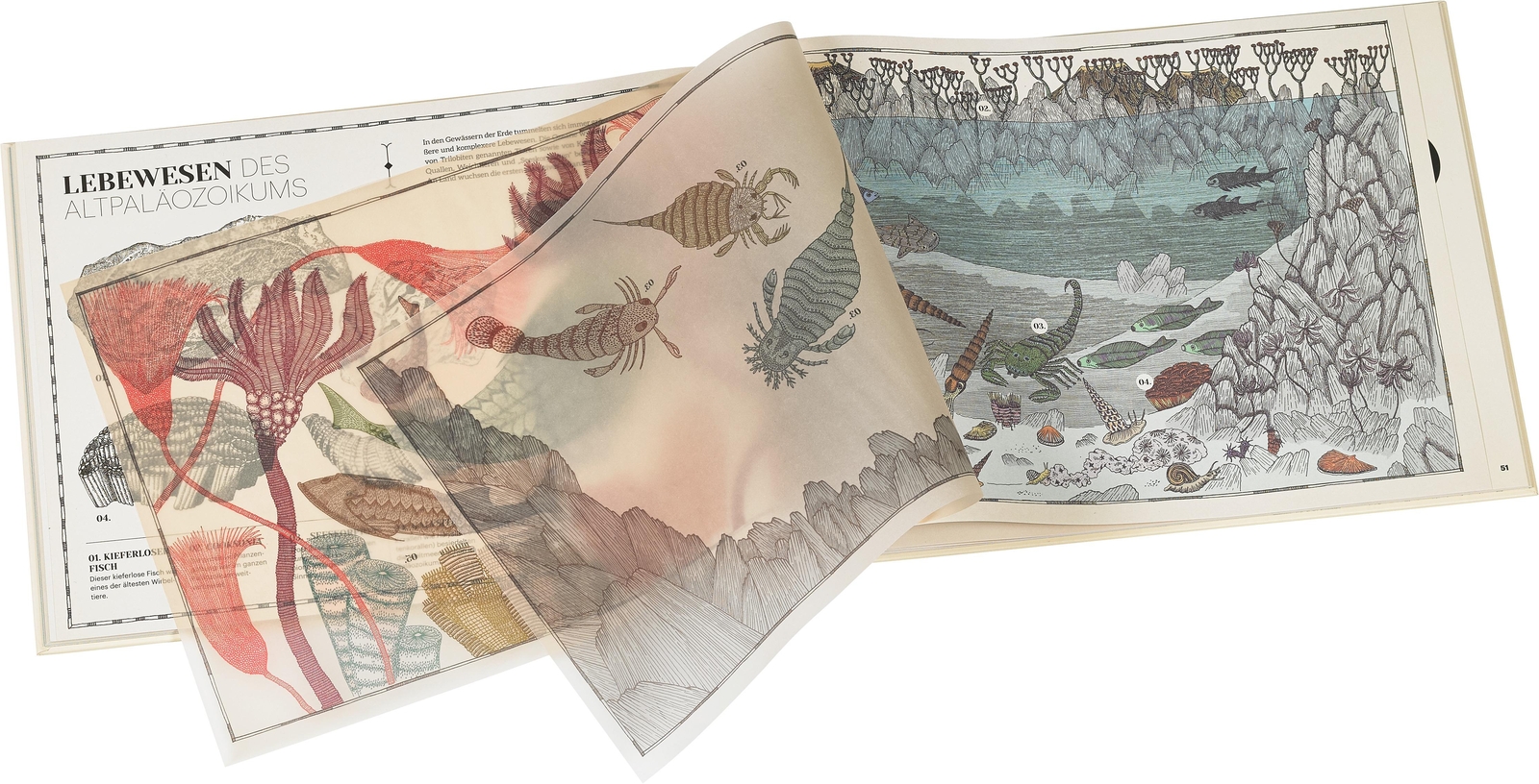 Thumbnail - Wie Alles Begann Aina Bestard