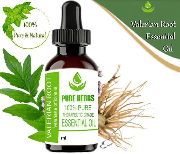 Pure Herbs Valerian Root 100 Pure & Natural Valeriana Officinalis