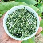 Dried Paragis Plant Goose Grass Eleusine Indica Poaceae Ayurvedic 100g