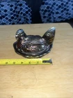 fenton hen on nest