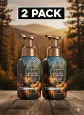 Bath  Body Works Gentle  Clean Foaming Hand Soap-Mountain Teakwood 2Pk